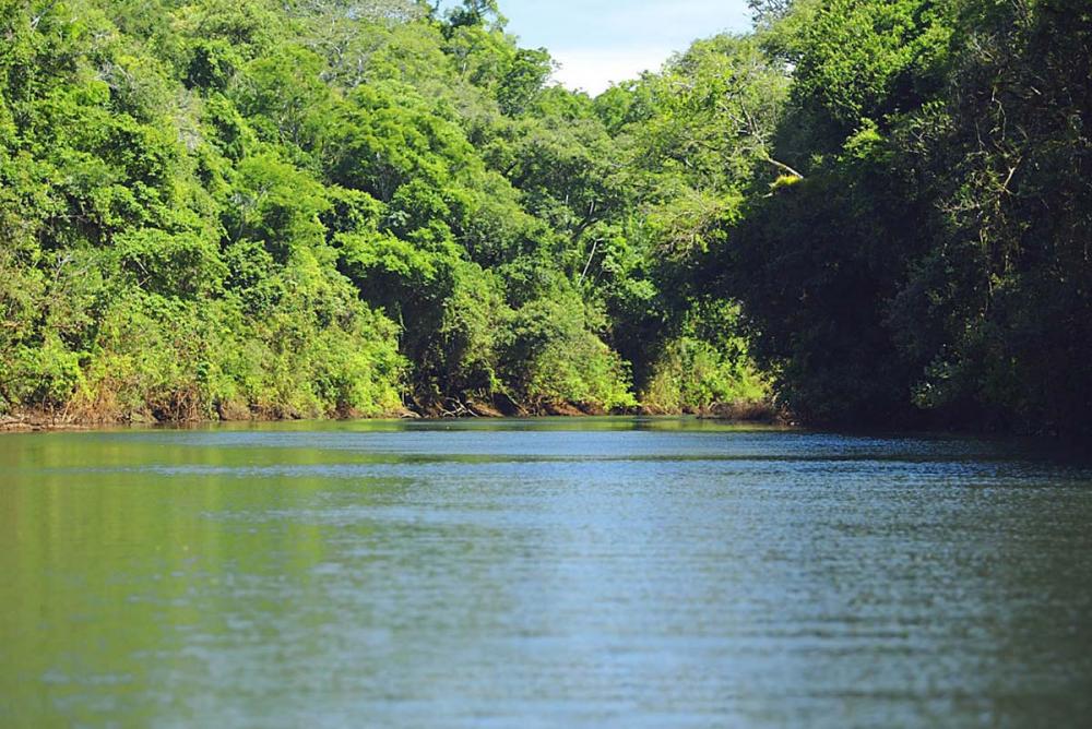 Pesca nos rios Ivaí e Piquiri está liberada a partir dessa sexta