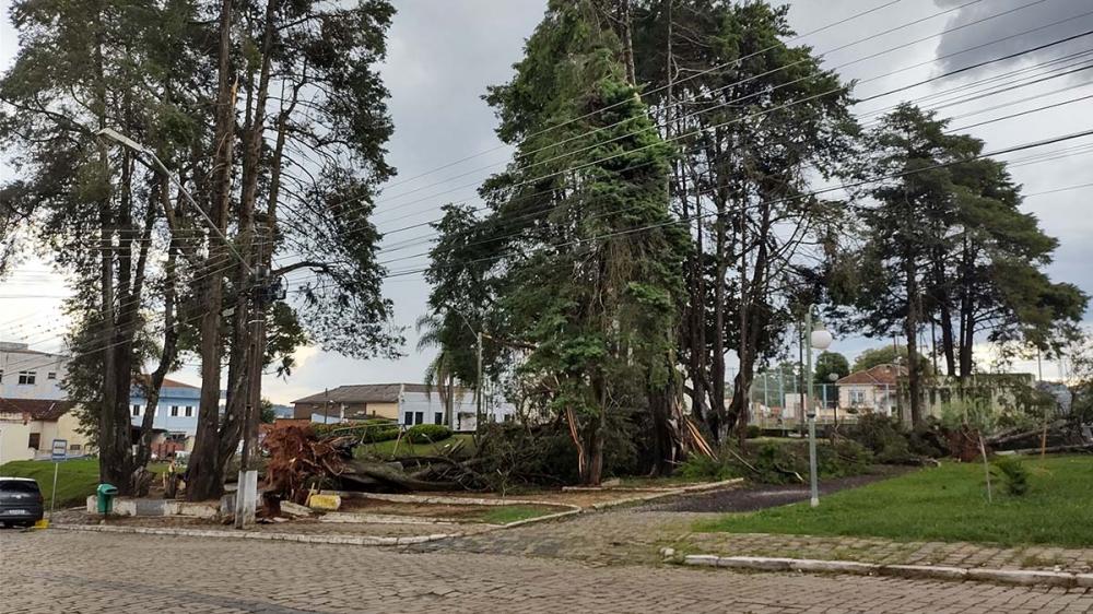 Vendaval derruba árvores na Praça Caetano Munhoz da Rocha