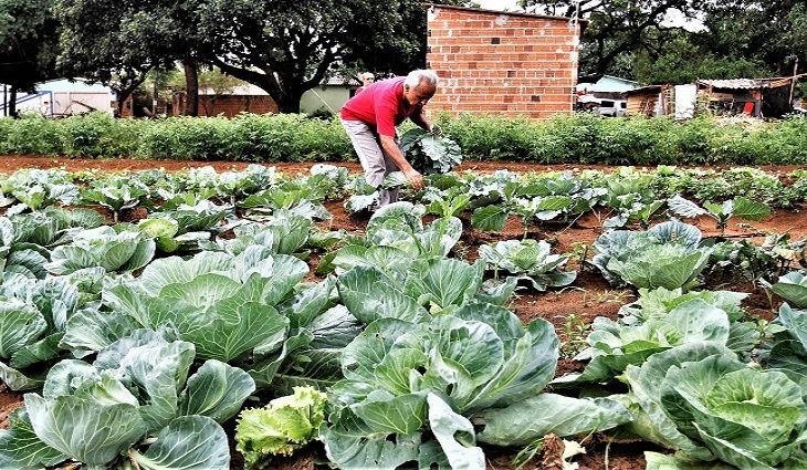 Mato Grosso do Sul: Governo vai auxiliar União na regularização de 30 mil títulos de terra da agricultura familiar em MS