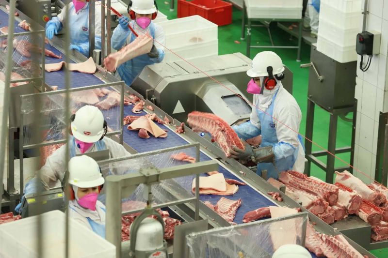 Com fim da vacinação, indústrias de carne planejam investimentos bilionários no Paraná 