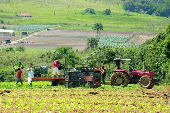 Governo lança AgroSP+Seguro e anuncia R$ 215 milhões para crédito e seguro rural