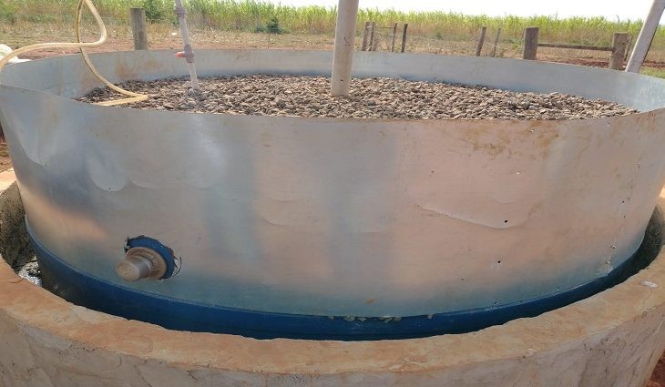 Agraer de Coxim visita produção de hortaliças em estufas, com energia solar e biodigestor