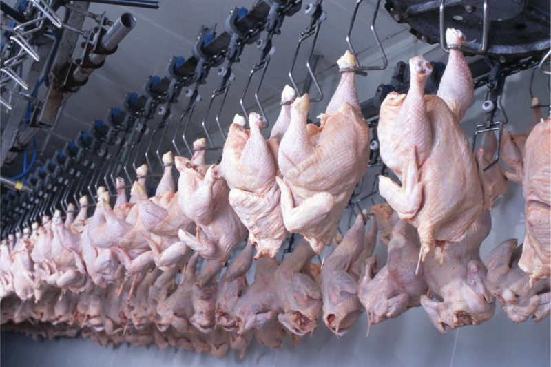Qualidade e rigor sanitário fazem do Paraná líder em exportação de carne halal