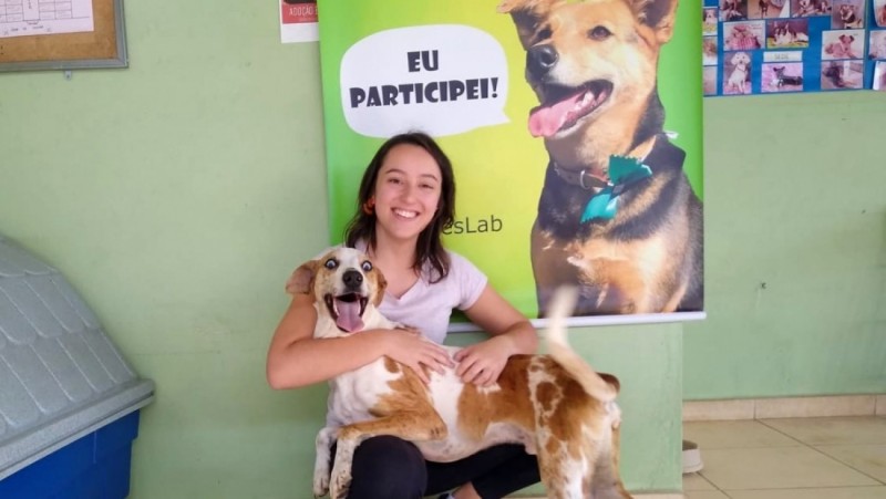 Fapesp: Experiência de vida molda a interação de cães com humanos