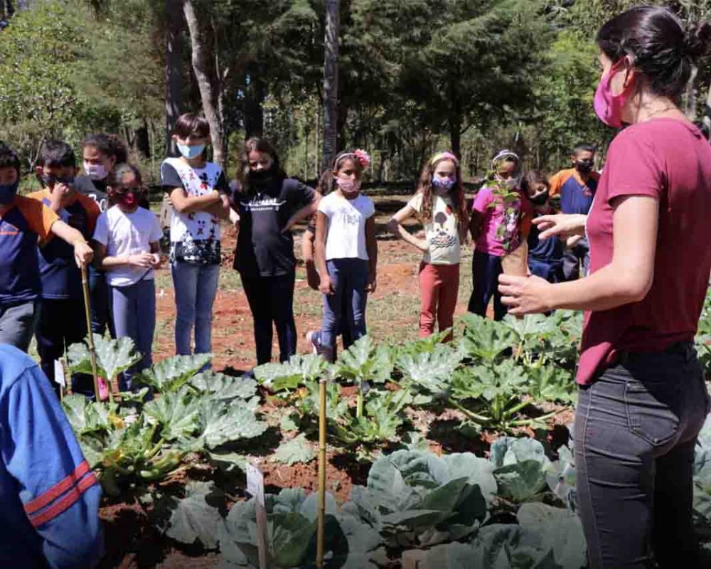 Floresta Nacional de Piraí do Sul retoma visitação