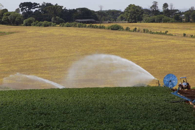 Em seis meses, Banco do Agricultor Paranaense ajudou 1.235 projetos do campo