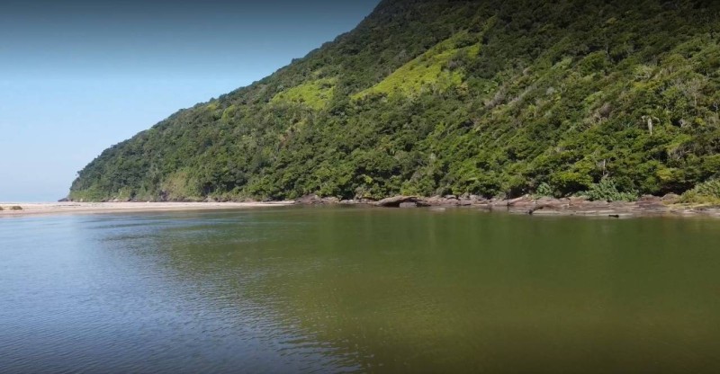 Fundação Florestal renova convênio com Fapesp para apoio à pesquisa