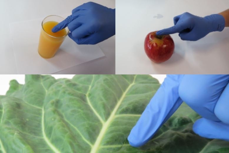 Cientistas da USP criam luva que detecta pesticidas em alimentos