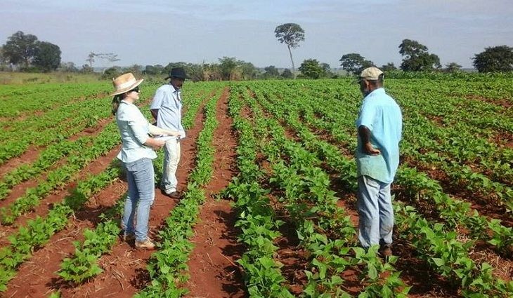 Aldeias indígenas de MS vão receber 137 toneladas de sementes do Estado