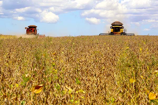 Paraná quer fortalecer cadeia do agronegócio para acelerar retomada