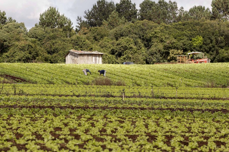 Com Paraná Produtivo, Estado e sociedade discutem juntos avanços nos municípios