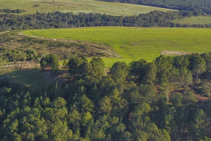 Ações de proteção ao meio ambiente serão apresentadas durante o Grande Expediente da sessão plenária desta terça